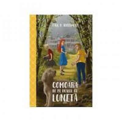 Coperta cărții Comoara de pe Dealul cu Luneta