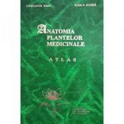 Anatomia plantelor medicinale. Atlas - Prof. dr. Constantin Toma, Dr. Rodica Rugina