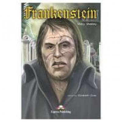 Literatura adaptata pentru copii Frankenstein Cartea profesorului