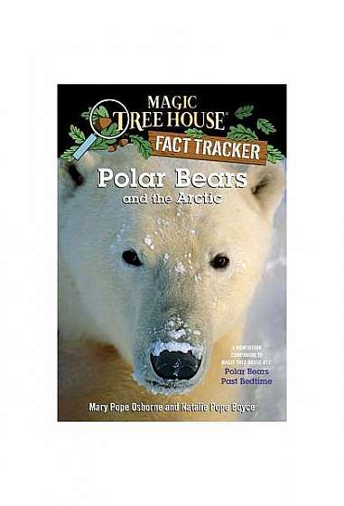 Polar Bears and the Arctic: A Nonfiction Companion to Polar Bears Past Bedtime