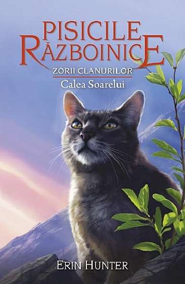 Pisicile Razboinice - Zorii clanurilor. Calea soarelui
