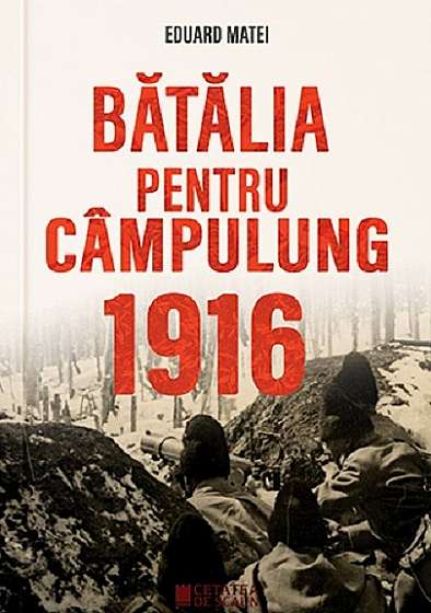 Batalia pentru Campulung 1916