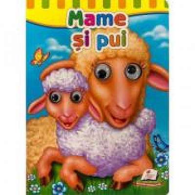 Coperta cărții Mame si pui. Ochisori