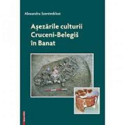 Coperta cărții Asezarile culturii Cruceni-Belegis in Banat de Alexandru Szentmiklosi