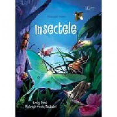 Coperta cărții Insectele (Usborne) de Usborne Books