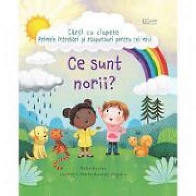 Coperta cărții Ce sunt norii? (Usborne)