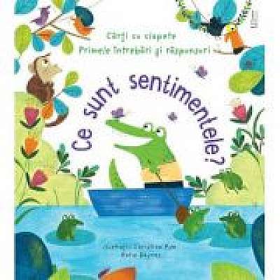 Coperta cărții Ce sunt sentimentele? (Usborne)