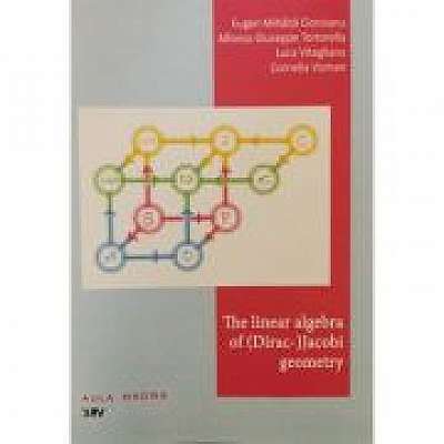 The linear algebra of (Dirac-) Jacobi geometry - Eugen Mihaita Cioroianu, Alfonso Giuseppe Tortorella, Luca Vitagliano, Cornelia Vizman