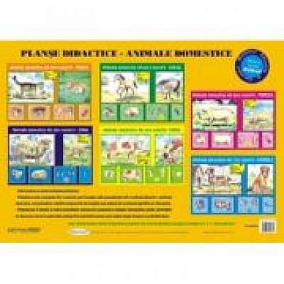 Planse didactice Animale domestice