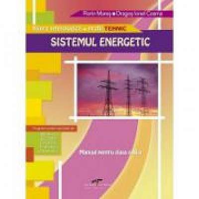 Manual pentru clasa a XI-a. Sistemul energetic, Dragos Ionel Cosma
