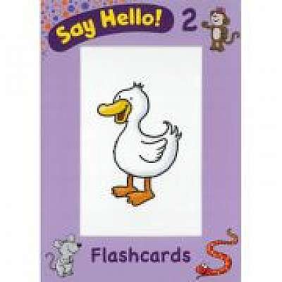 Say Hello 2 Flashcards