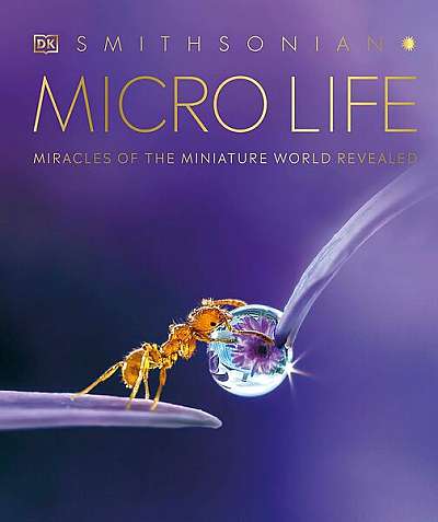 Micro life - Hardcover - Derek Harvey - DK Publishing (Dorling Kindersley)