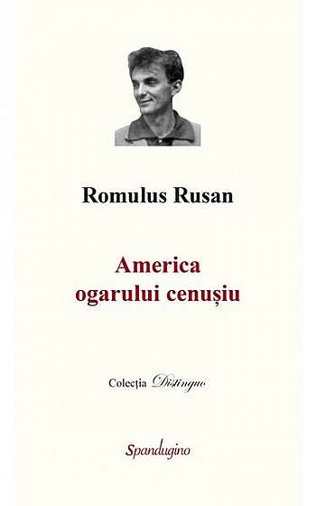 America ogarului cenușiu - Hardcover - Romulus Rusan - Spandugino