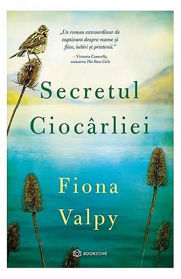 Secretul ciocârliei - Paperback brosat - Fiona Valpy - Bookzone
