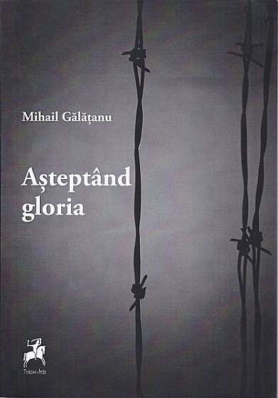 Așteptând gloria - Paperback brosat - Mihail Gălăţanu - Tracus Arte