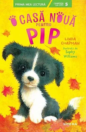 O casă nouă pentru Pip - Paperback brosat - Linda Chapman - Litera