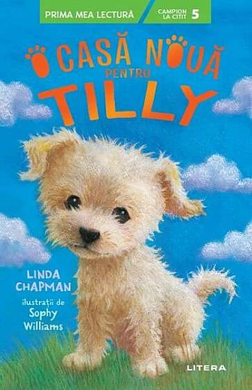 O casă nouă pentru Tilly - Paperback brosat - Linda Chapman - Litera
