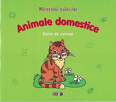 Animale domestice. Carte de colorat - Paperback - Victoria Raţă - Prut