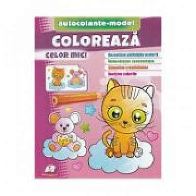 Coperta cărții Coloreaza celor mici. Autocolante model