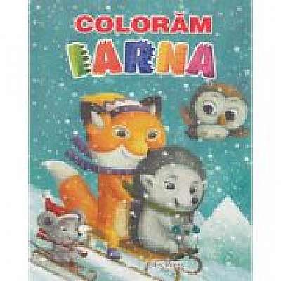 Coperta cărții Coloram iarna