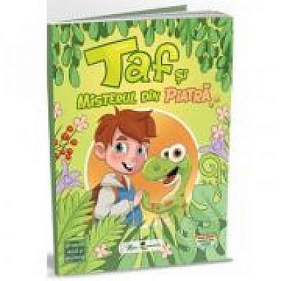 Coperta cărții Taf si misterul din piatra