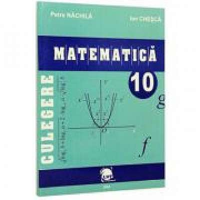 Culegere matematica clasa a 10-a - Petre Nachila, Ion Chesca