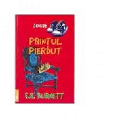 Coperta cărții Printul pierdut
