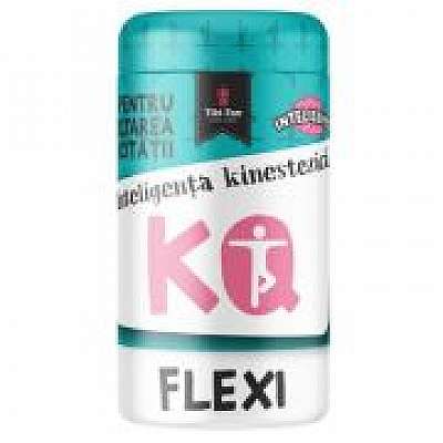 Coperta cărții KQ FLEXI - Intelissimo