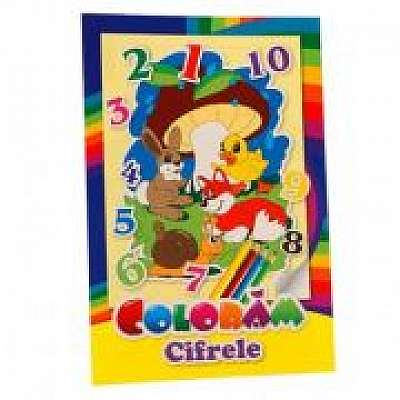 Coperta cărții Coloram Cifrele. Privim si coloram
