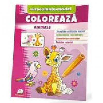 Coperta cărții Coloreaza Animale