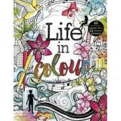 Life in Colour. A Teen Colouring Book for Bold, Bright, Messy Works-In-Progress