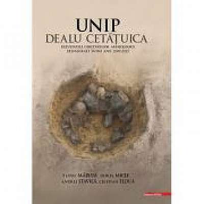 Unip Dealu Cetatuica. Rezultatele cercetarilor arheologice desfasurate intre anii 2009–2015