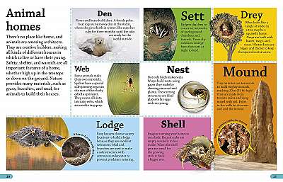 Coperta cărții Animals