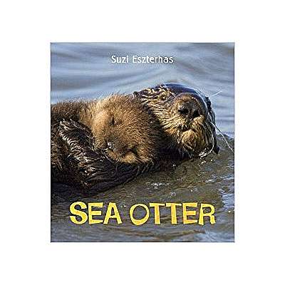 Sea Otter (Eye on the Wild)