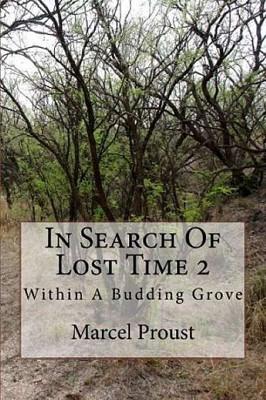 In Search Of Lost Time - within A Budding Grove