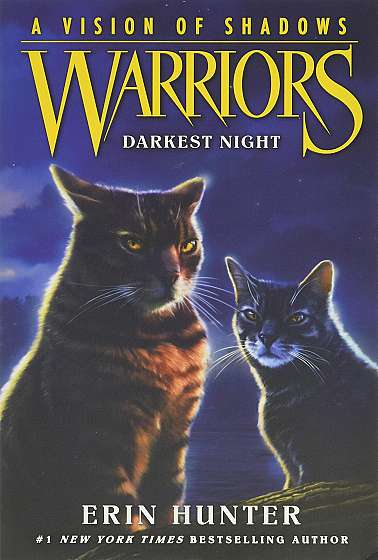 Warriors: A Vision of Shadows, Vol. 4: Darkest Night