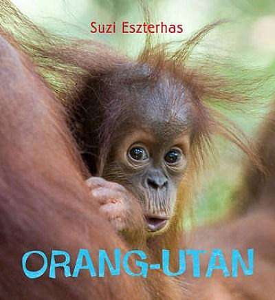 Orang-Utan (Eye on the Wild)