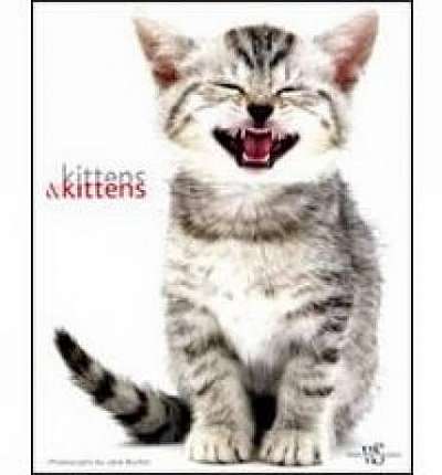Kittens & Kittens