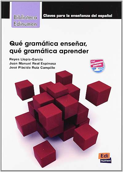 Que Gramatica Ensenar: Que Gramatica Aprender?