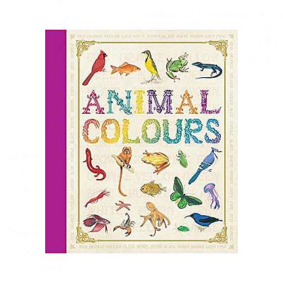 First Concept: Animal Colours