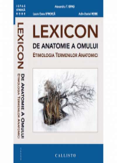 LEXICON de anatomie a omului, etimologia termenilor anatomici