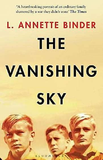 Coperta cărții The Vanishing Sky de L. Annette Binder