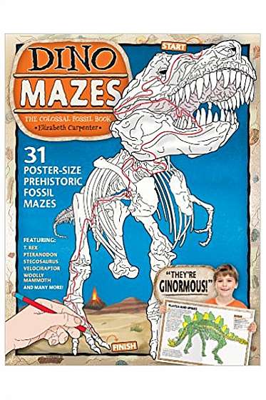 Dinomazes: The Colossal Fossil Book