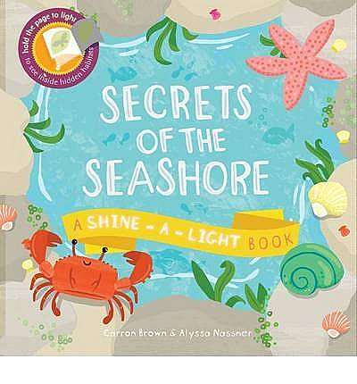 Secrets of the Seashore: A Shine-a-Light Book