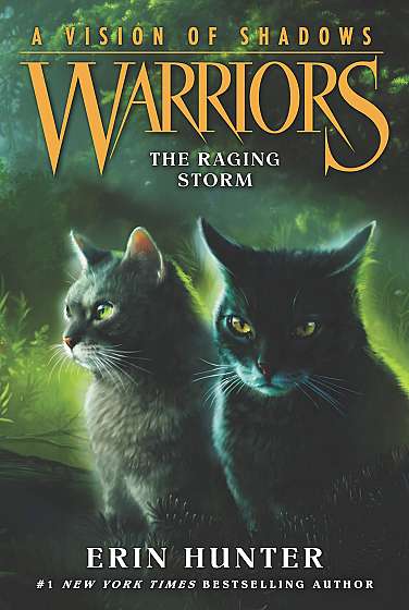 Warriors: A Vision of Shadows, Vol. 6: The Raging Storm