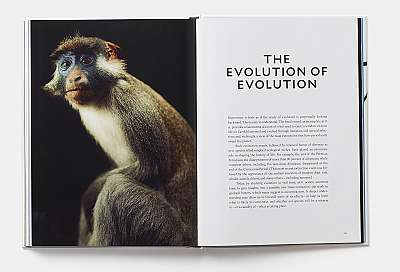 Evolution - A Visual Record