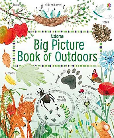 Big Picture Book of Outdoors