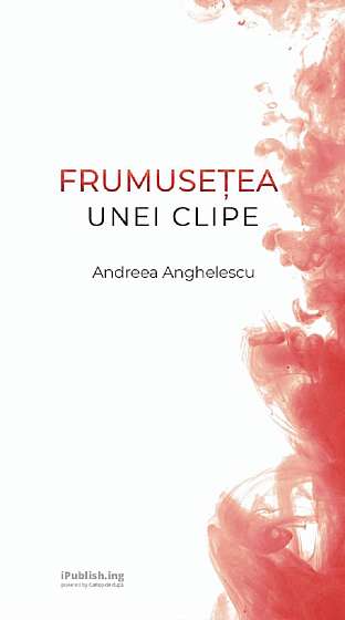 Coperta cărții Frumusetea unei clipe