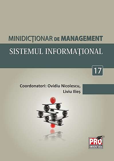 Minidictionar De Management 17: Sistemul Informational