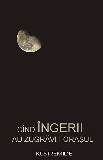 Coperta cărții Cind ingerii au zugravit orasul